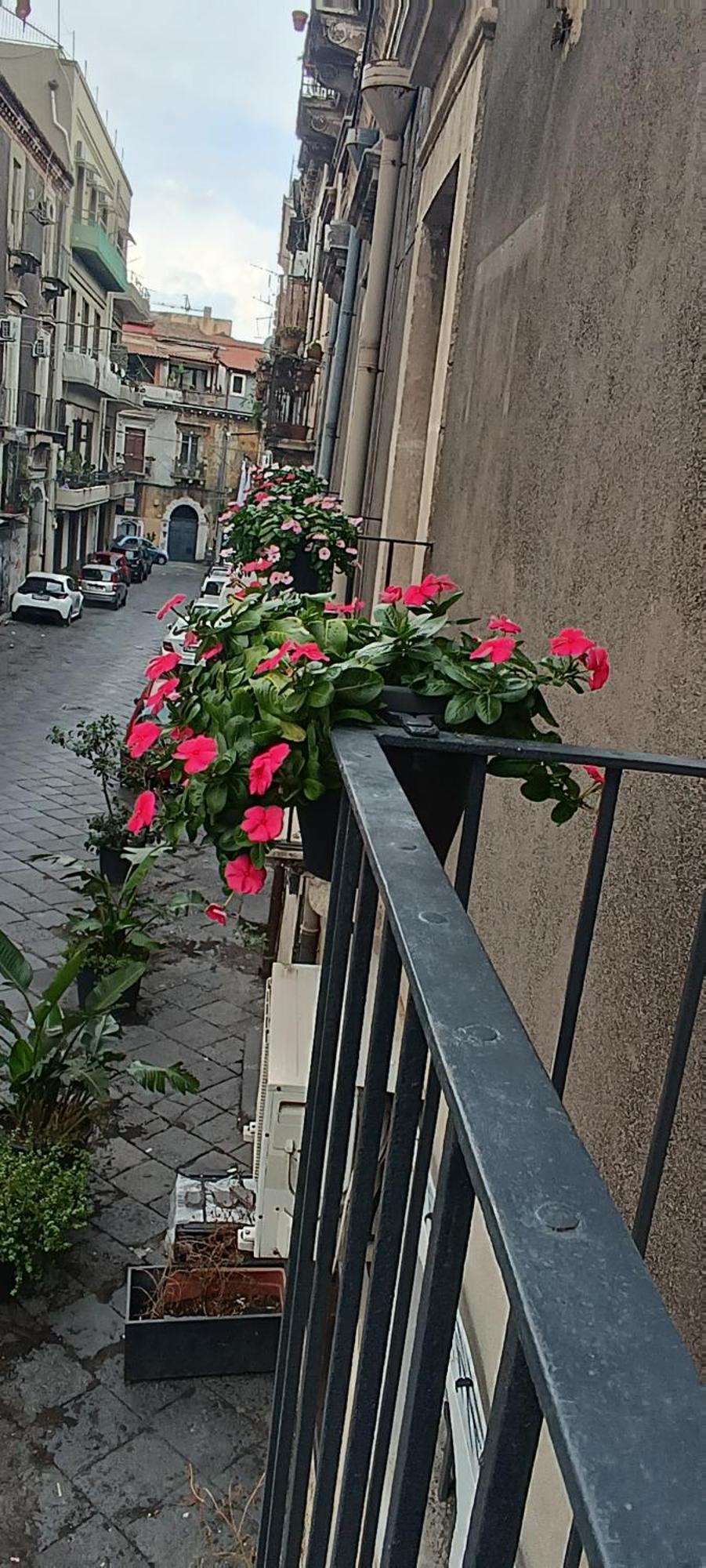 Nimia B&B Di Nic & Fra Katanya Dış mekan fotoğraf